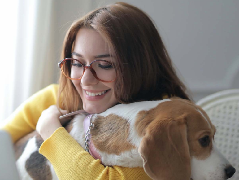 Brochure: Paradise Hosting 